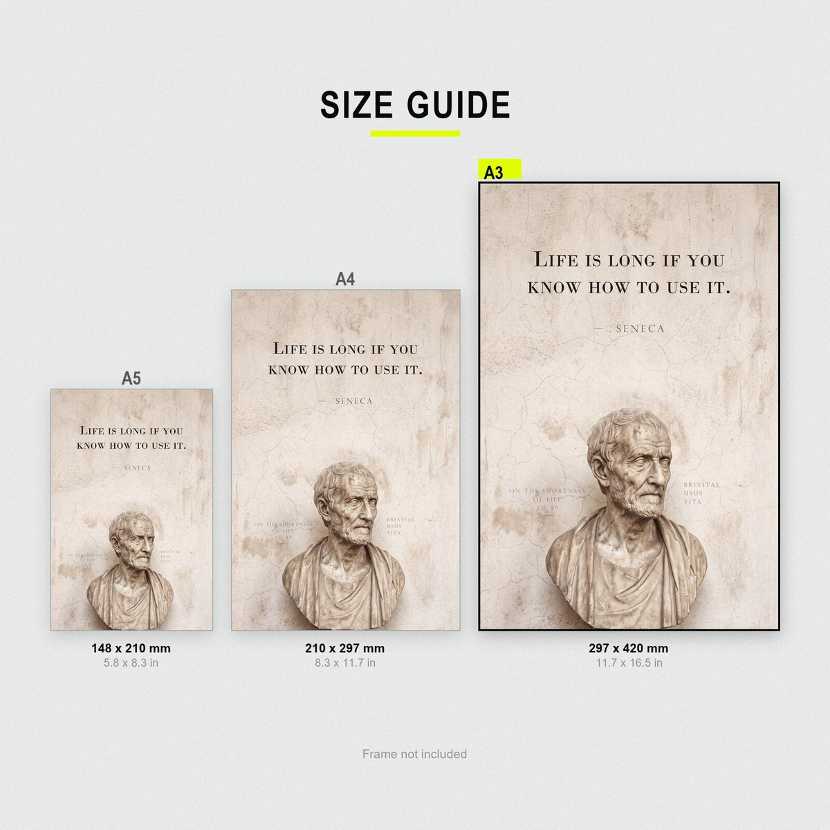Life Is Long If You Know How To Use It Seneca Marble Stoic Quote Art Print