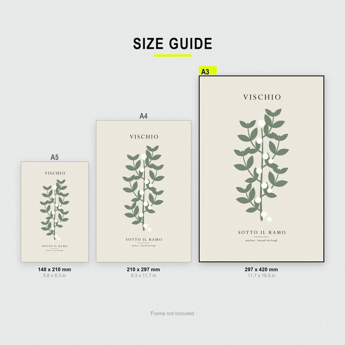 Vischio Christmas Specimen Art Print