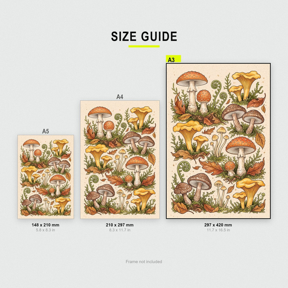 Bracket Fungi Fungi Mushroom Art Print