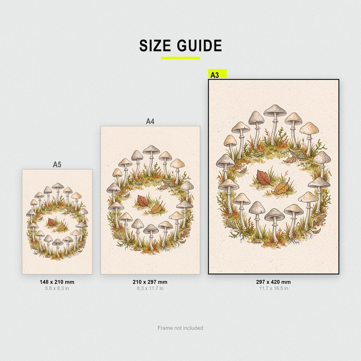 Oyster Mushrooms Fungi Mushroom Art Print