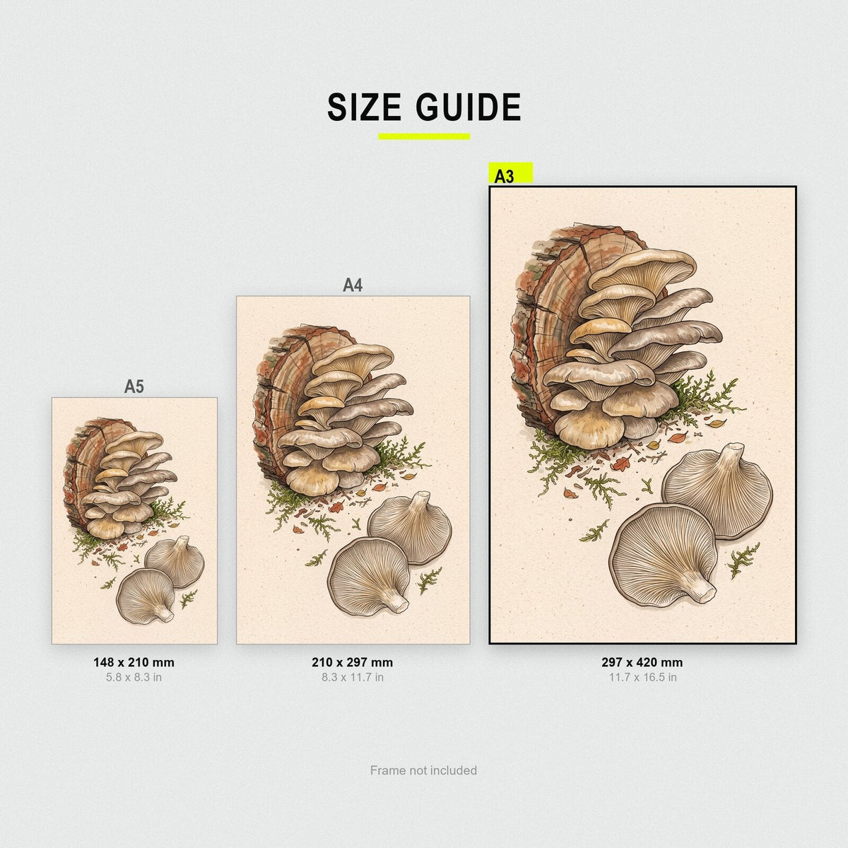 Fly Agaric Fungi Mushroom Art Print