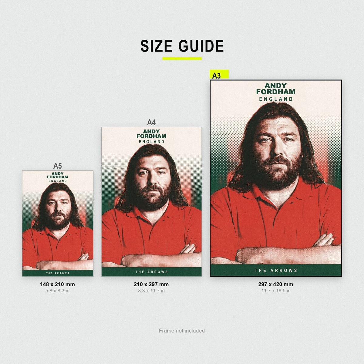 Andy Fordham The Arrows Darts Art Print