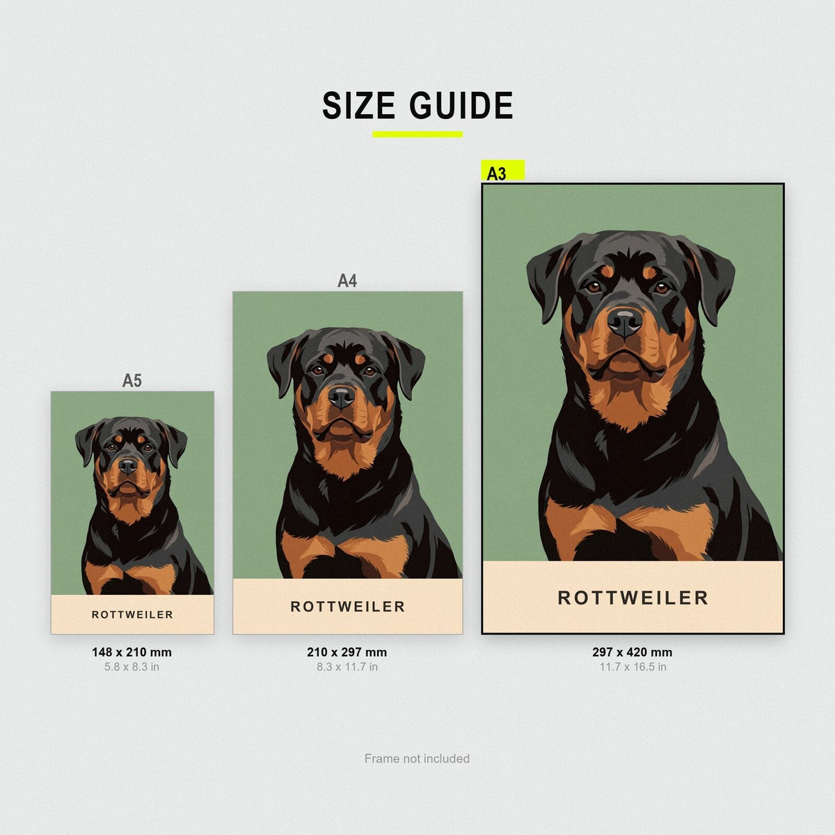 Rottweiler Dog Portrait Art Print