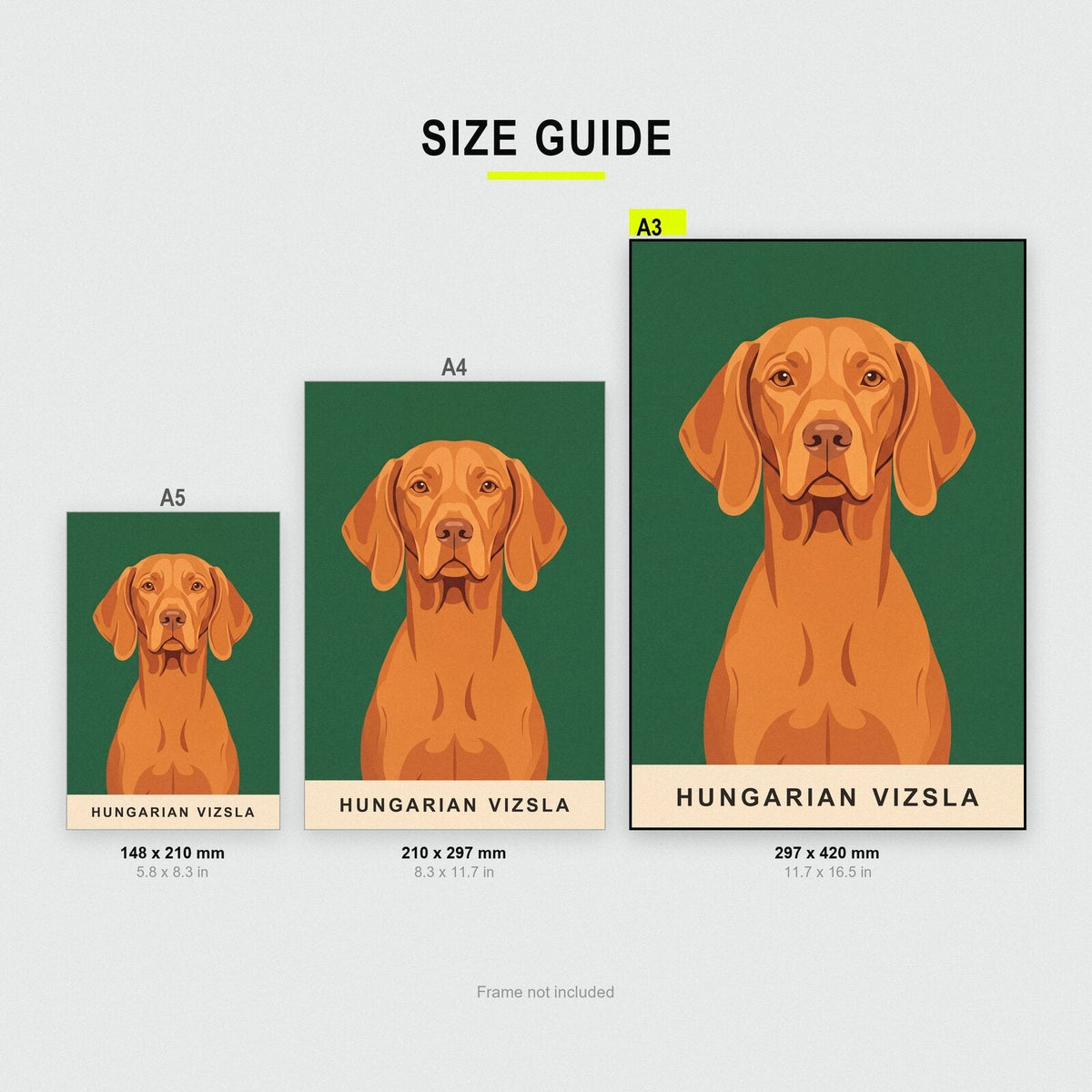Hungarian Vizsla Dog Portrait Art Print