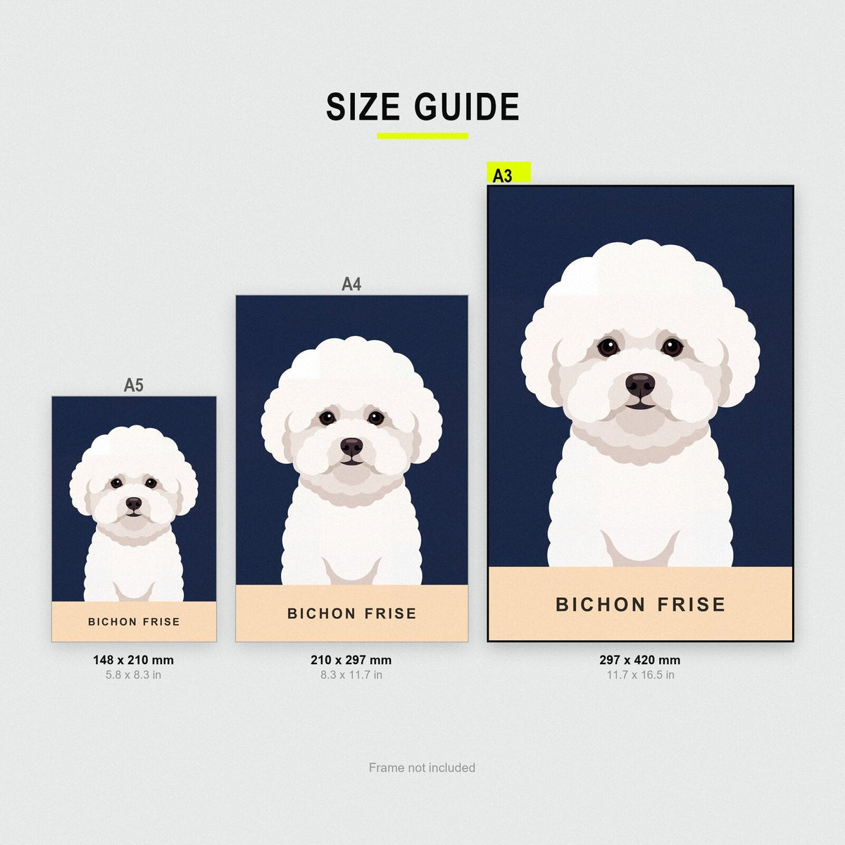 Bichon Frise Dog Portrait Art Print