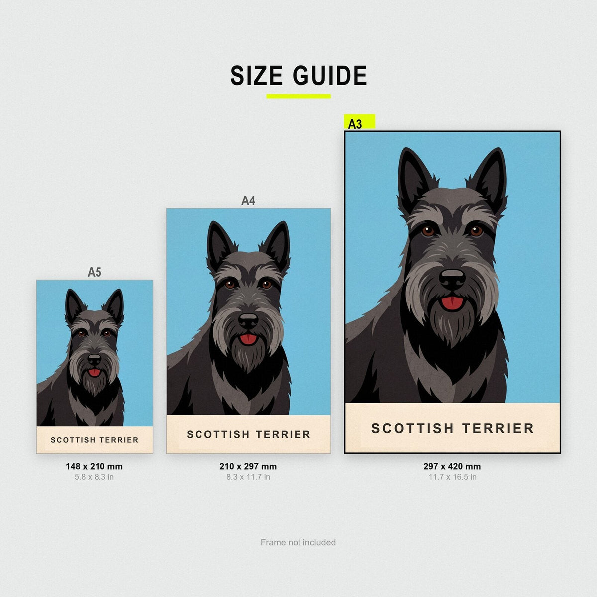 Scottish Terrier Dog Portrait Art Print