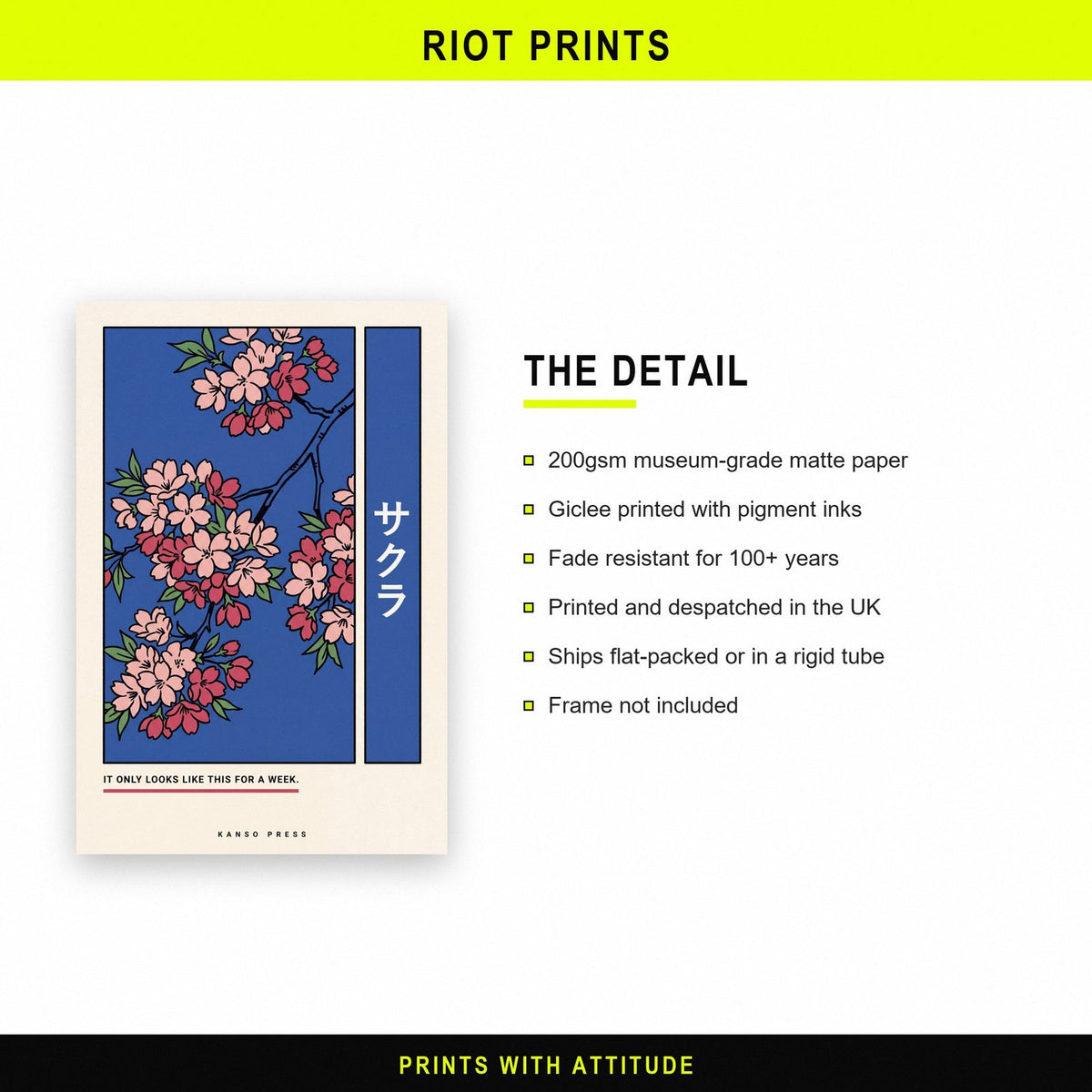 Sakura Cherry Blossom Japanese Art Print