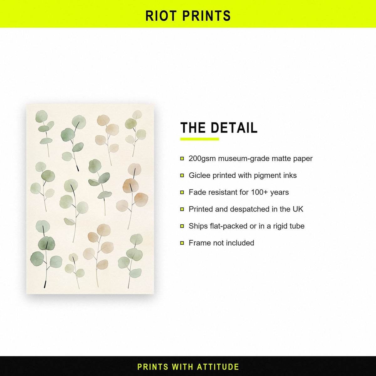 Eucalyptus Sprigs Botanical Art Print
