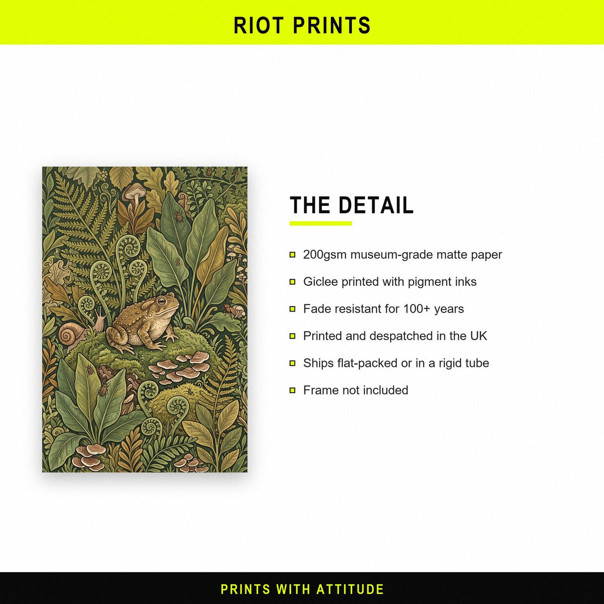 Toad In The Ferns Botanical Art Print