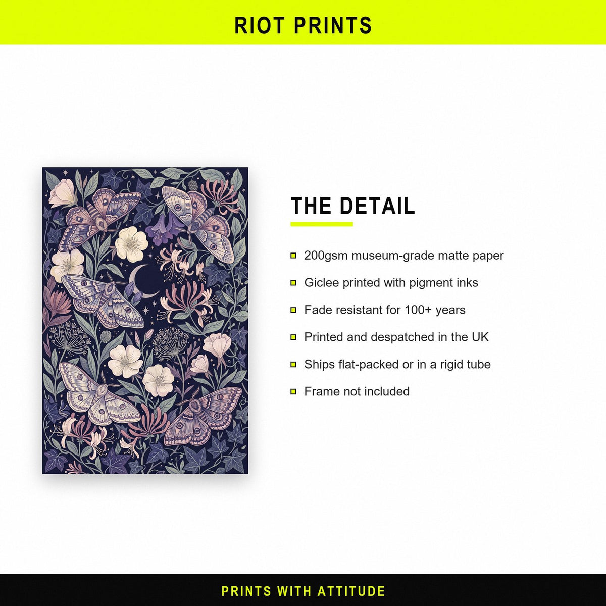 Moths And Night Flowers Botanical Art Print