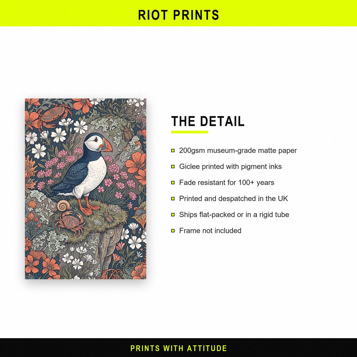 Puffin On The Cliffs Botanical Art Print