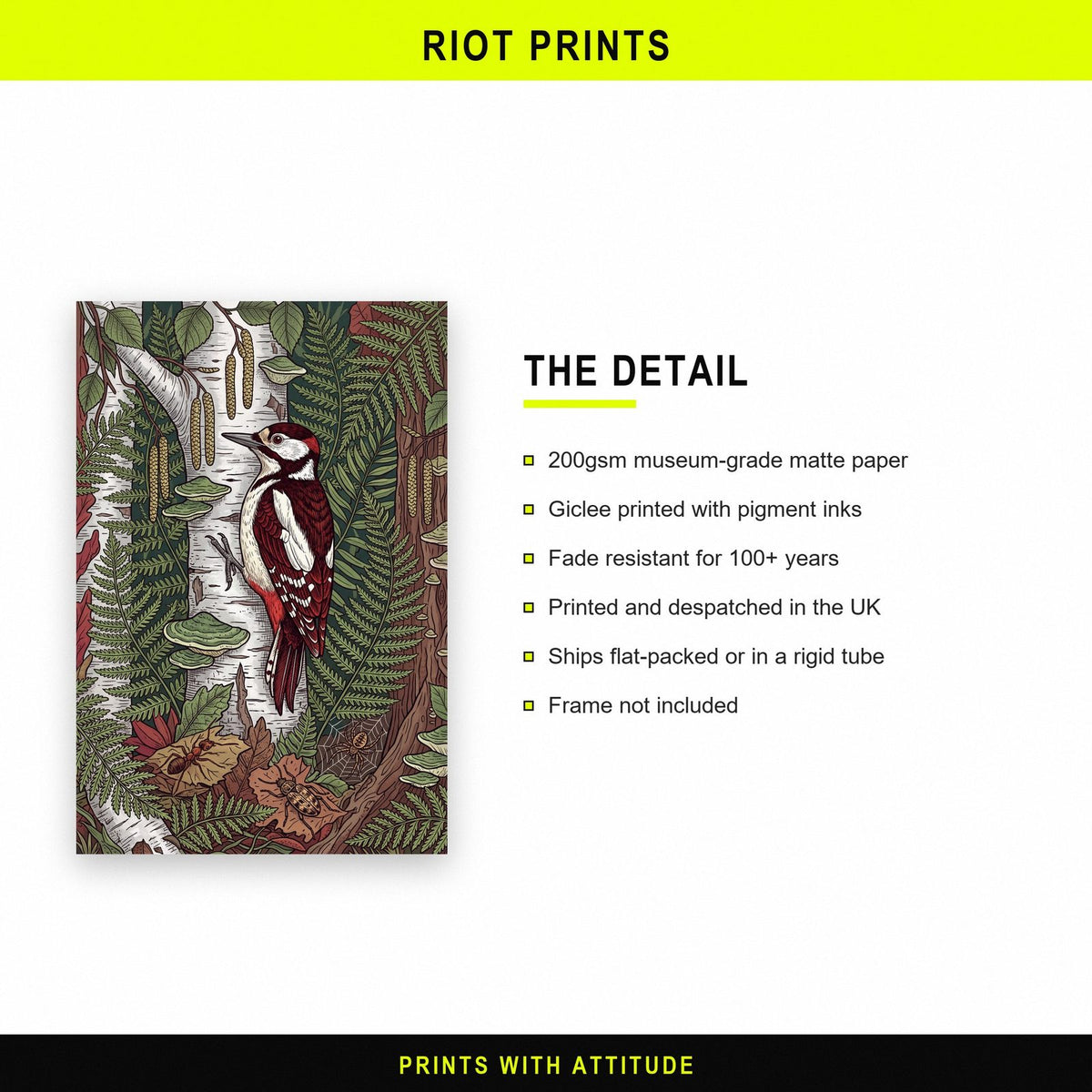 Woodpecker On Silver Birch Botanical Art Print