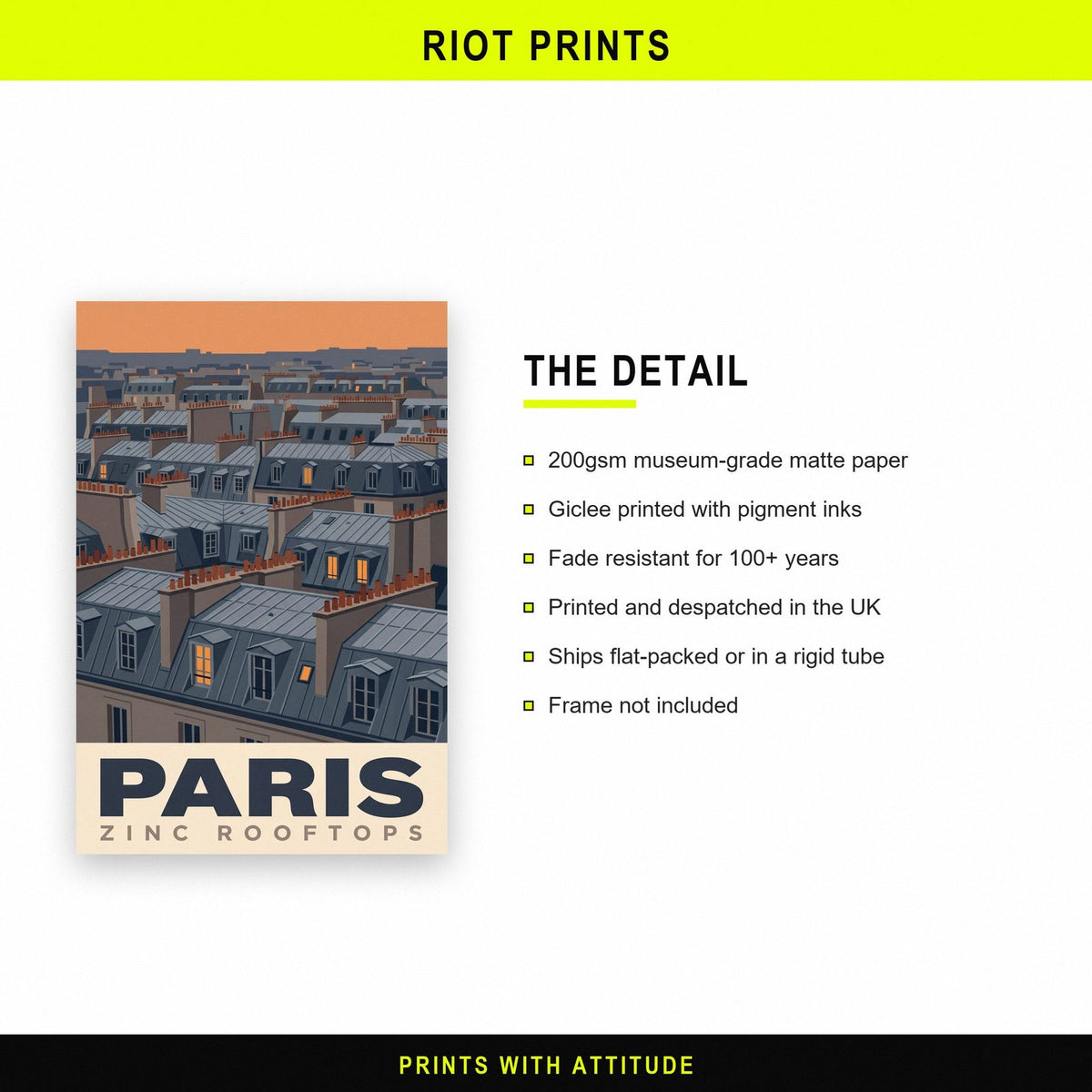 Paris Zinc Rooftops Travel Art Print