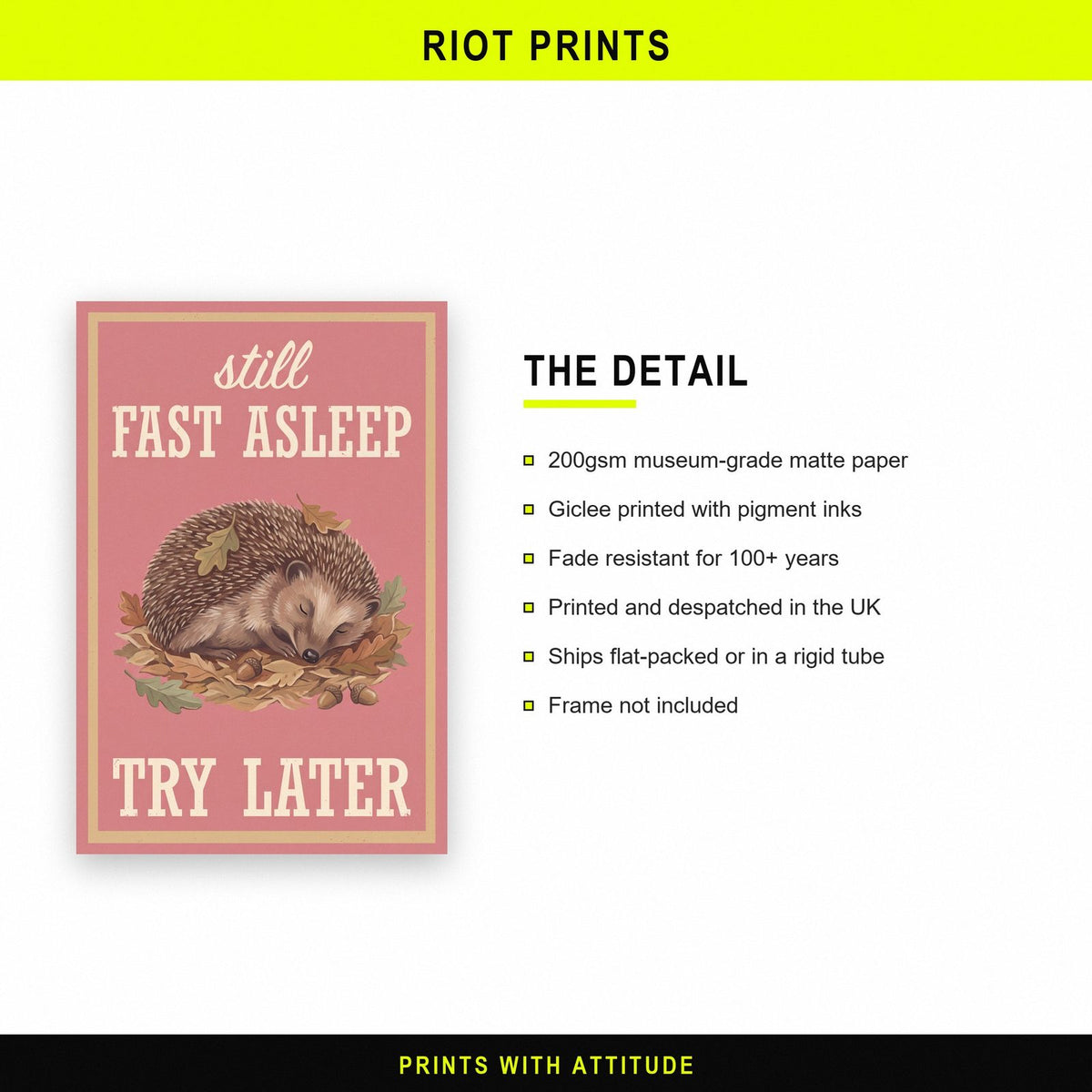 Still Fast Asleep Try Later Hedgehog Art Print