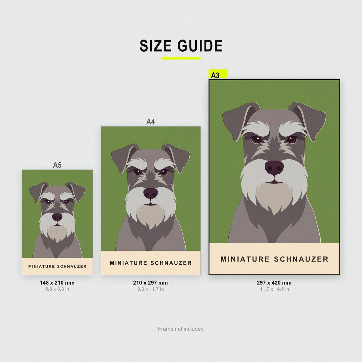 Miniature Schnauzer Dog Portrait Art Print