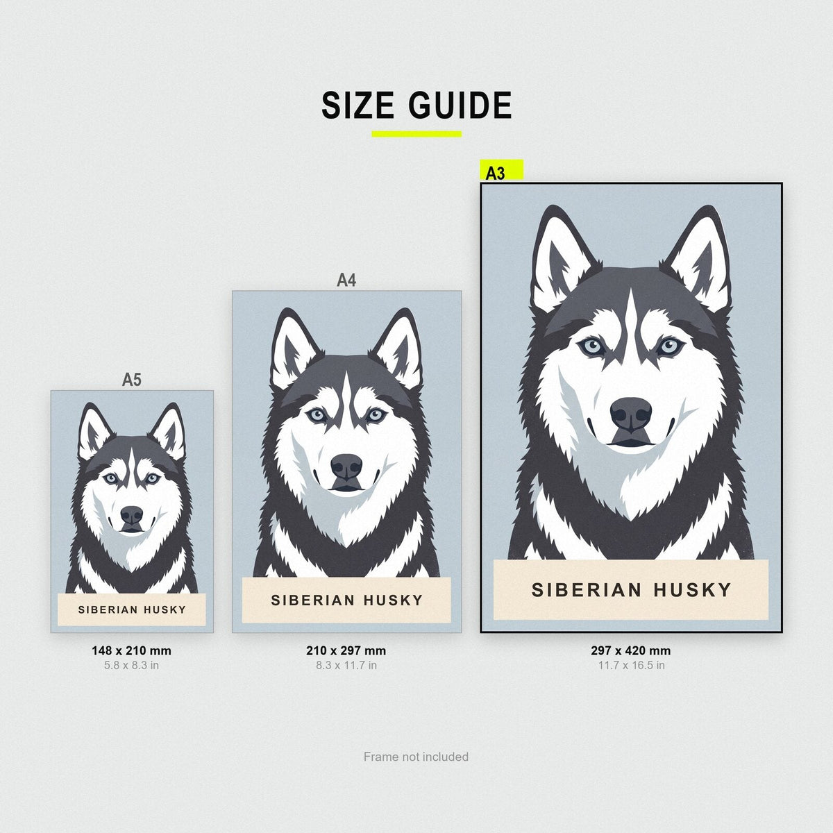 Siberian Husky Dog Portrait Art Print