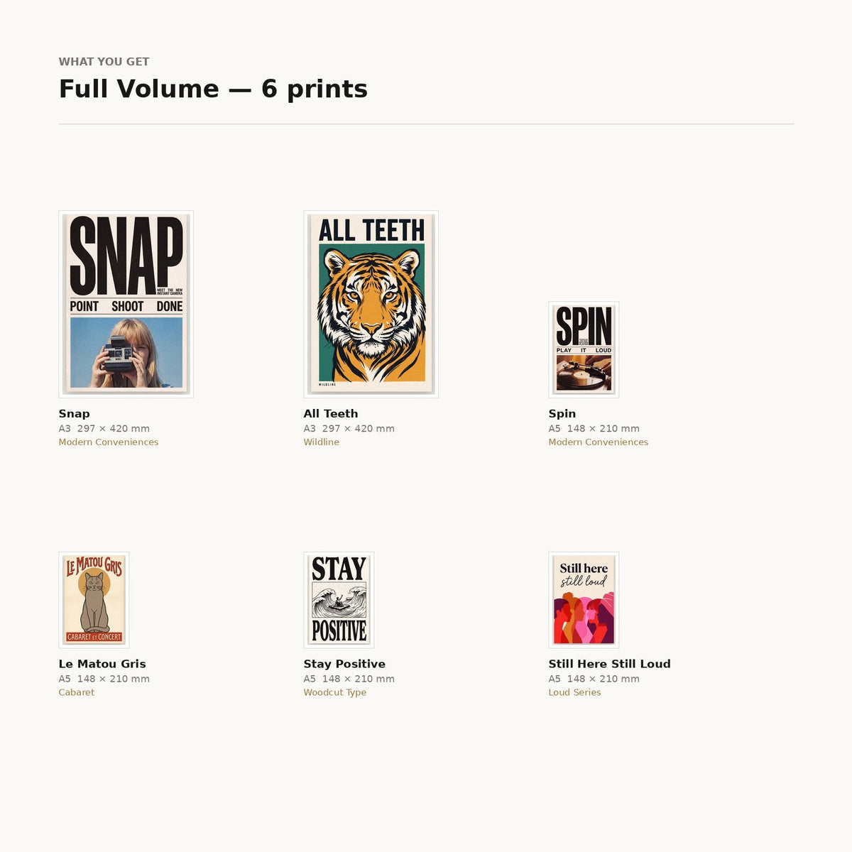 What is included in the Full Volume 6-print feature wall