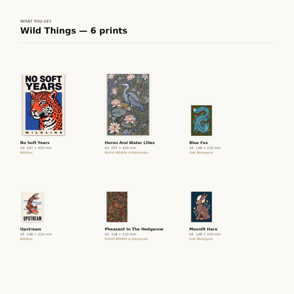 What is included in the Wild Things 6-print feature wall