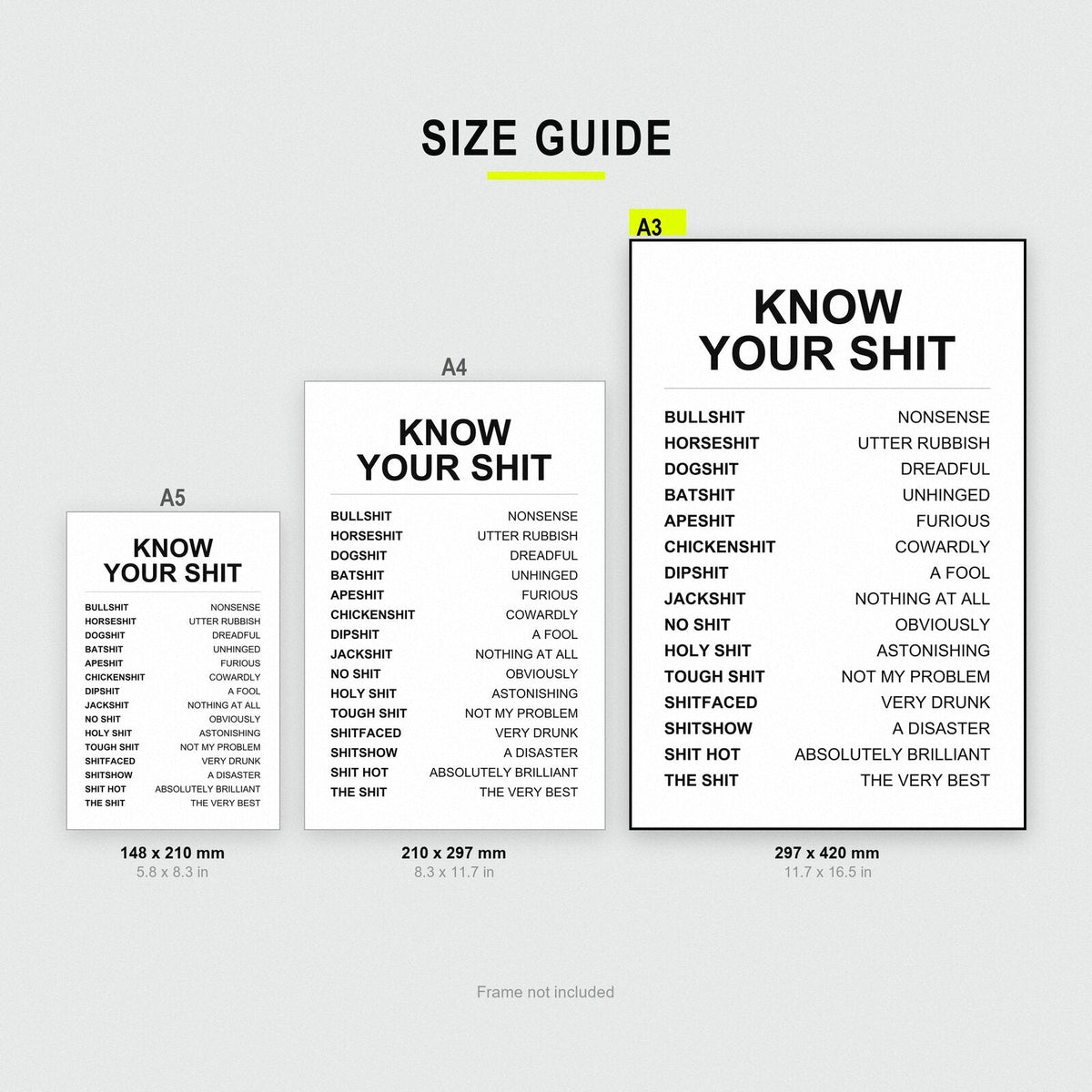 Know Your Sh*t Funny Glossary Art Print