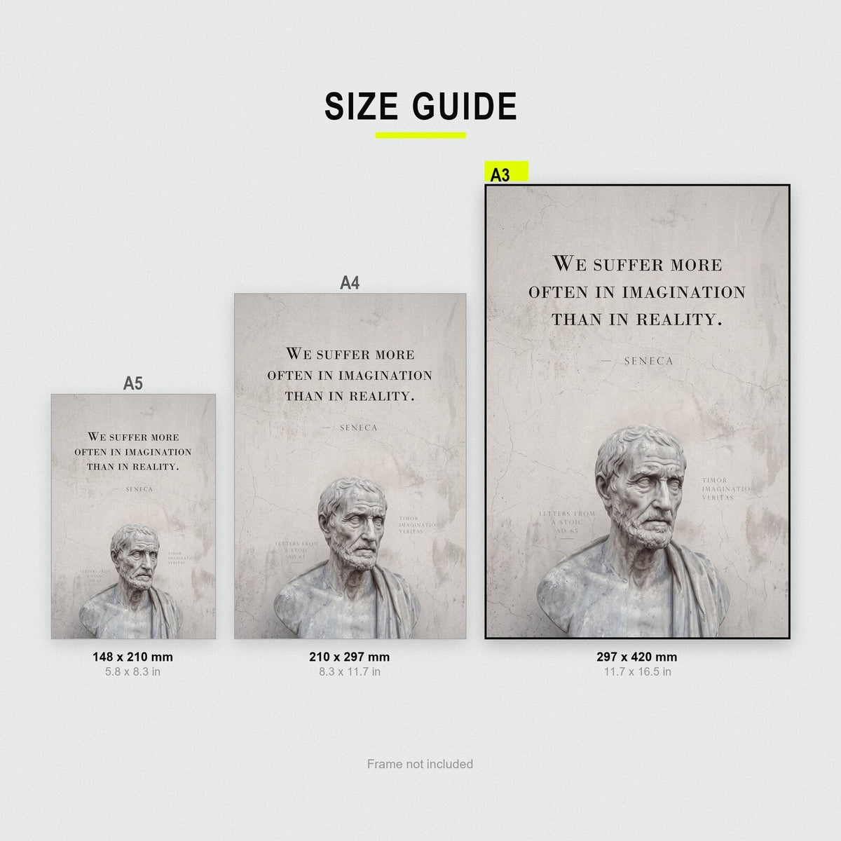 We Suffer More In Imagination Seneca Marble Stoic Quote Art Print