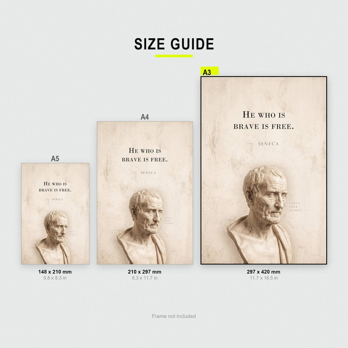 He Who Is Brave Is Free Seneca Marble Stoic Quote Art Print