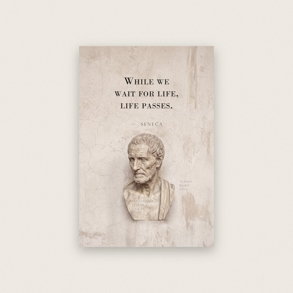 While We Wait For Life Life Passes Seneca Marble Stoic Quote Art Print