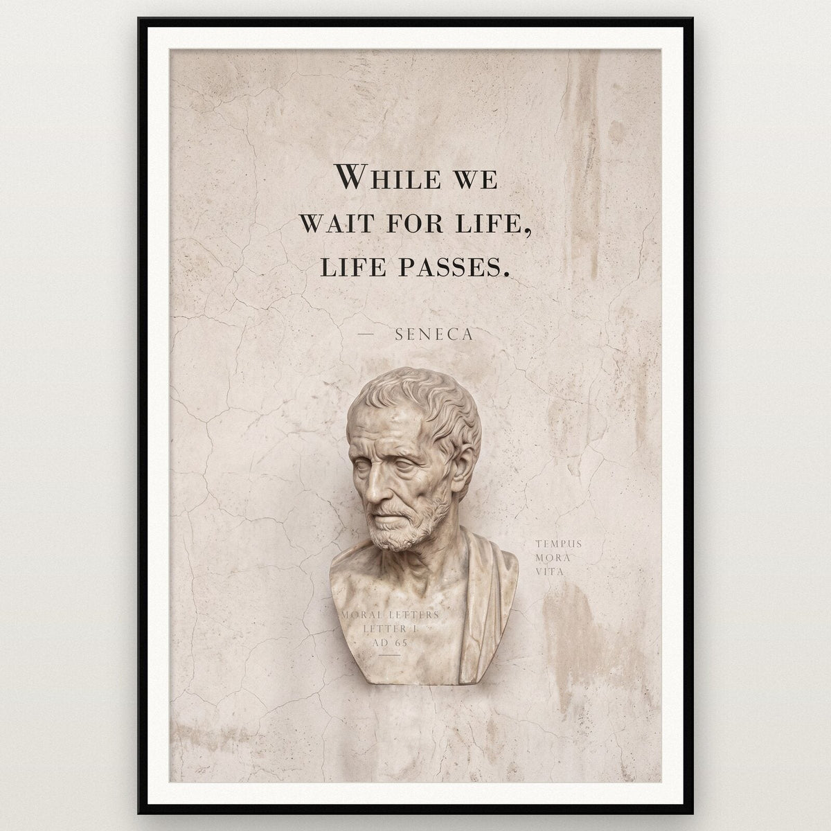 While We Wait For Life Life Passes Seneca Marble Stoic Quote Art Print