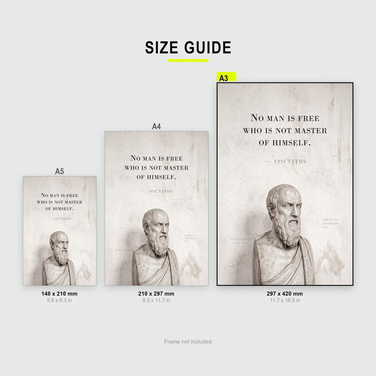 No Man Is Free Who Is Not Master Of Himself Epictetus Marble Stoic Quote Art Print