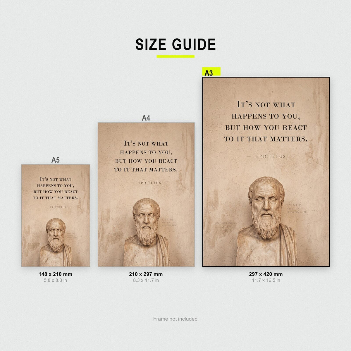 It Is How You React That Matters Epictetus Marble Stoic Quote Art Print
