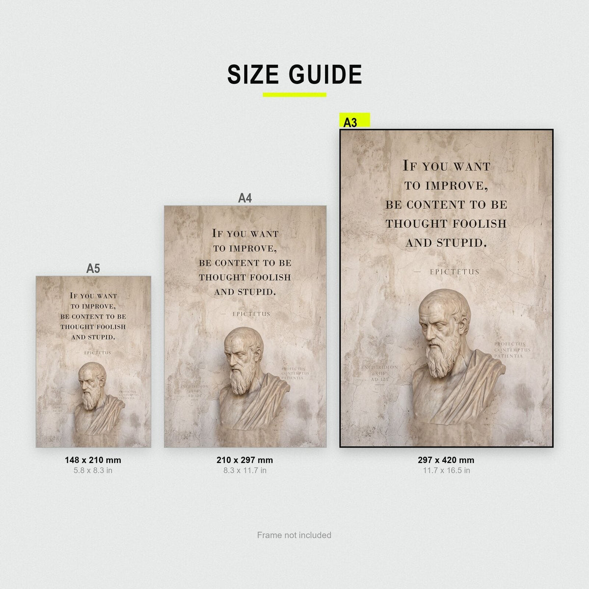 Be Content To Be Thought Foolish Epictetus Marble Stoic Quote Art Print