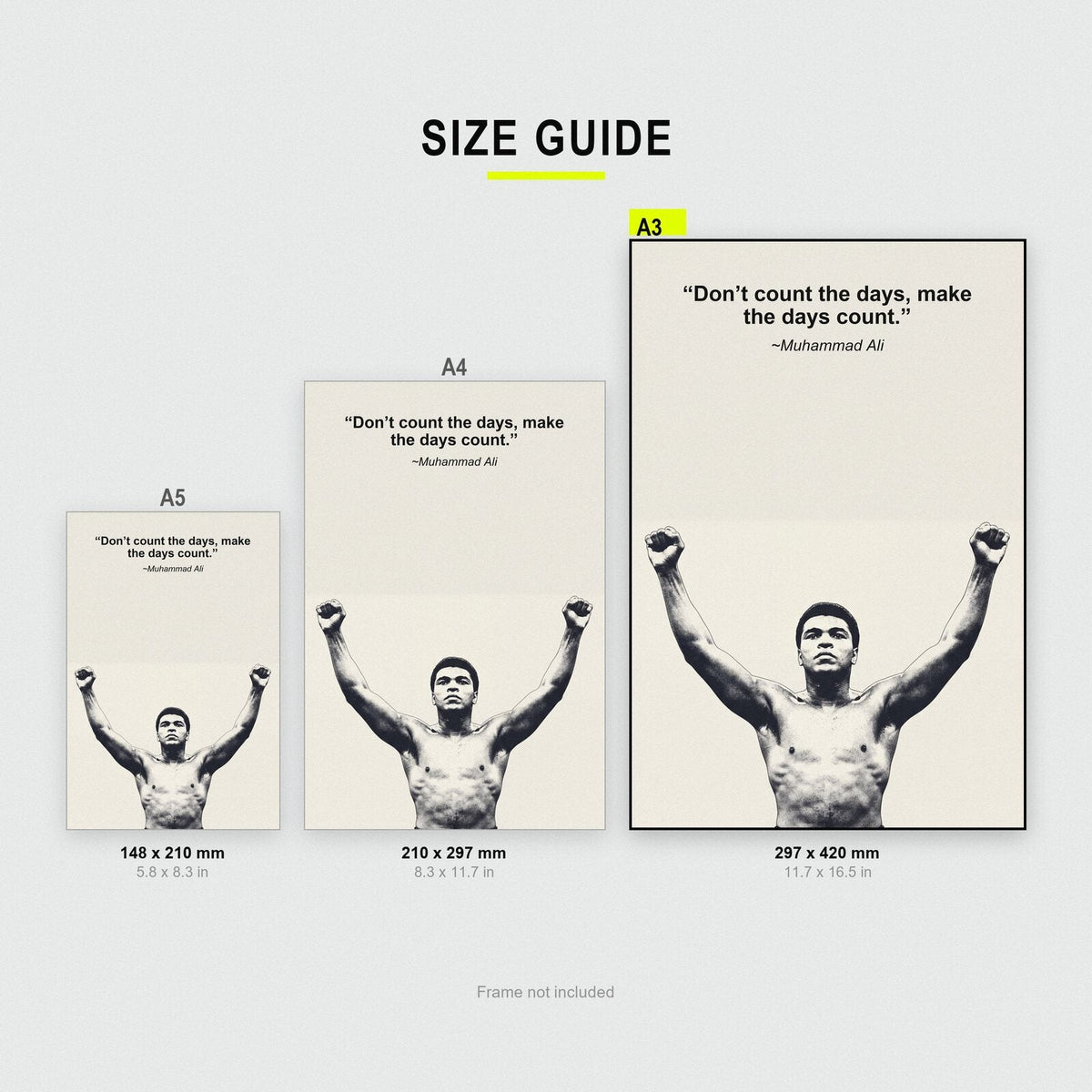Dont Count The Days Make The Days Count Muhammad Ali Sporting Quote Art Print