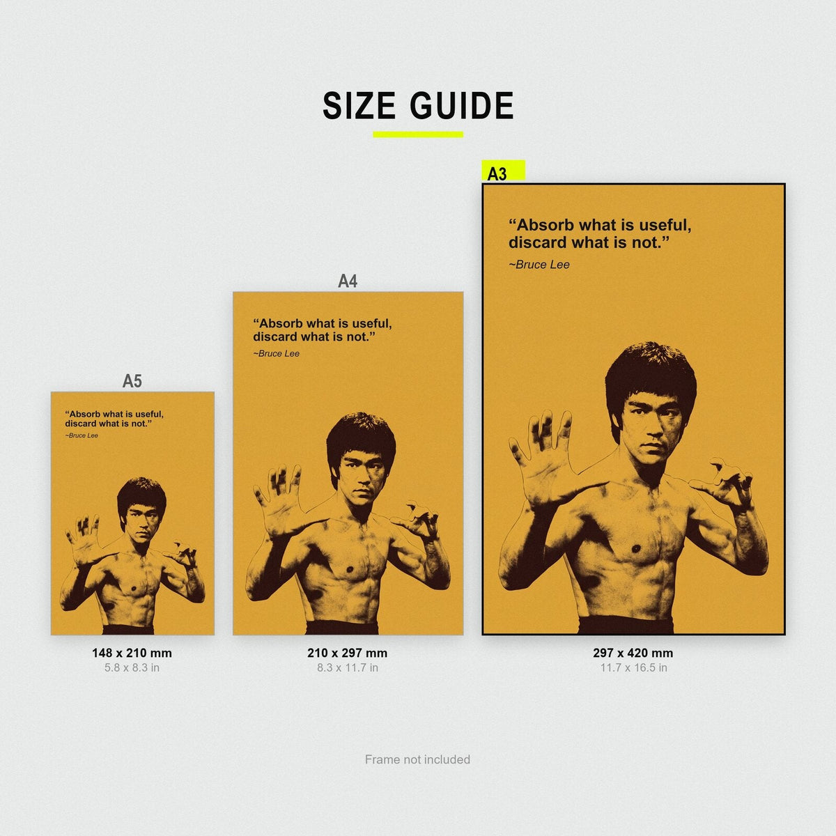 Absorb What Is Useful Discard What Is Not Bruce Lee Sporting Quote Art Print