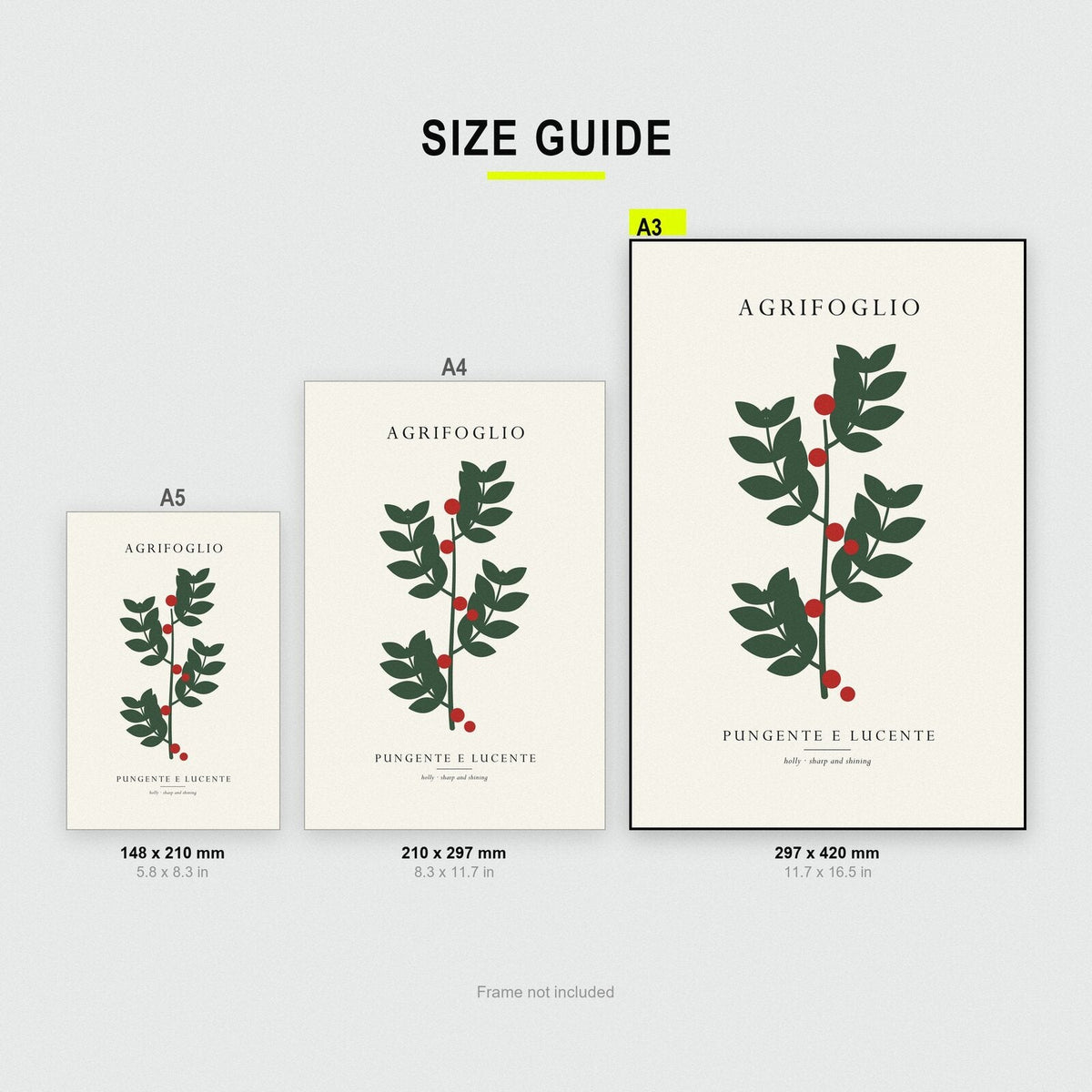 Agrifoglio Christmas Specimen Art Print