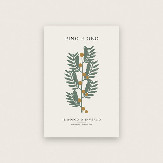 Pino E Oro Christmas Specimen Art Print