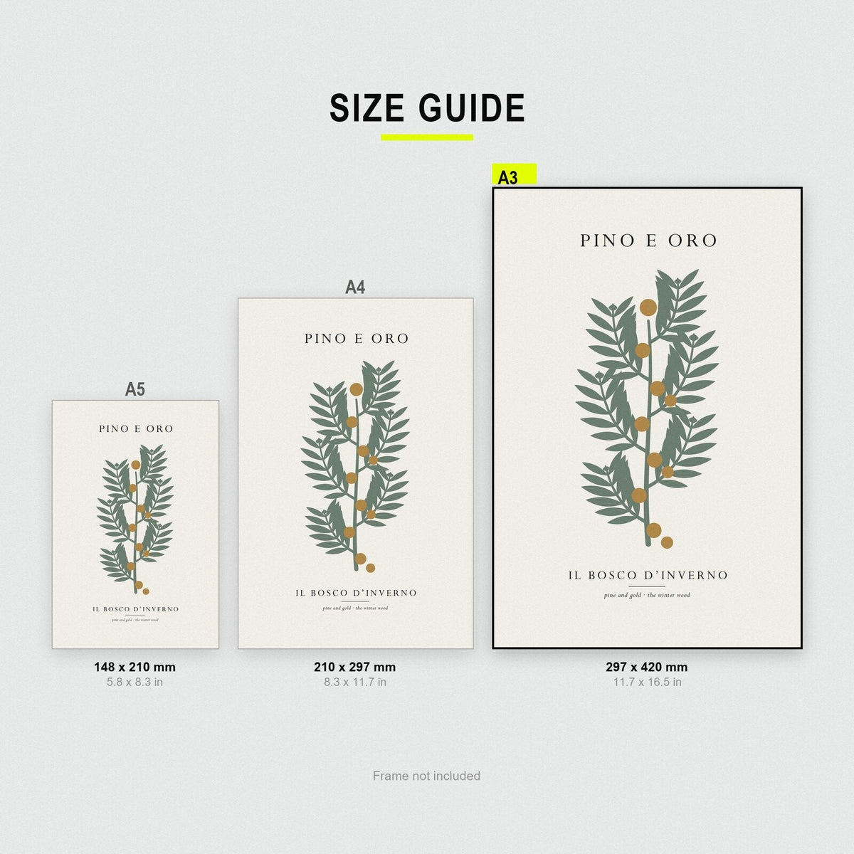 Pino E Oro Christmas Specimen Art Print