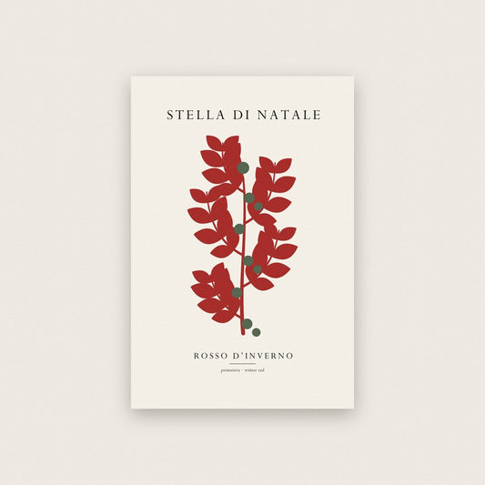 Stella Di Natale Christmas Specimen Art Print