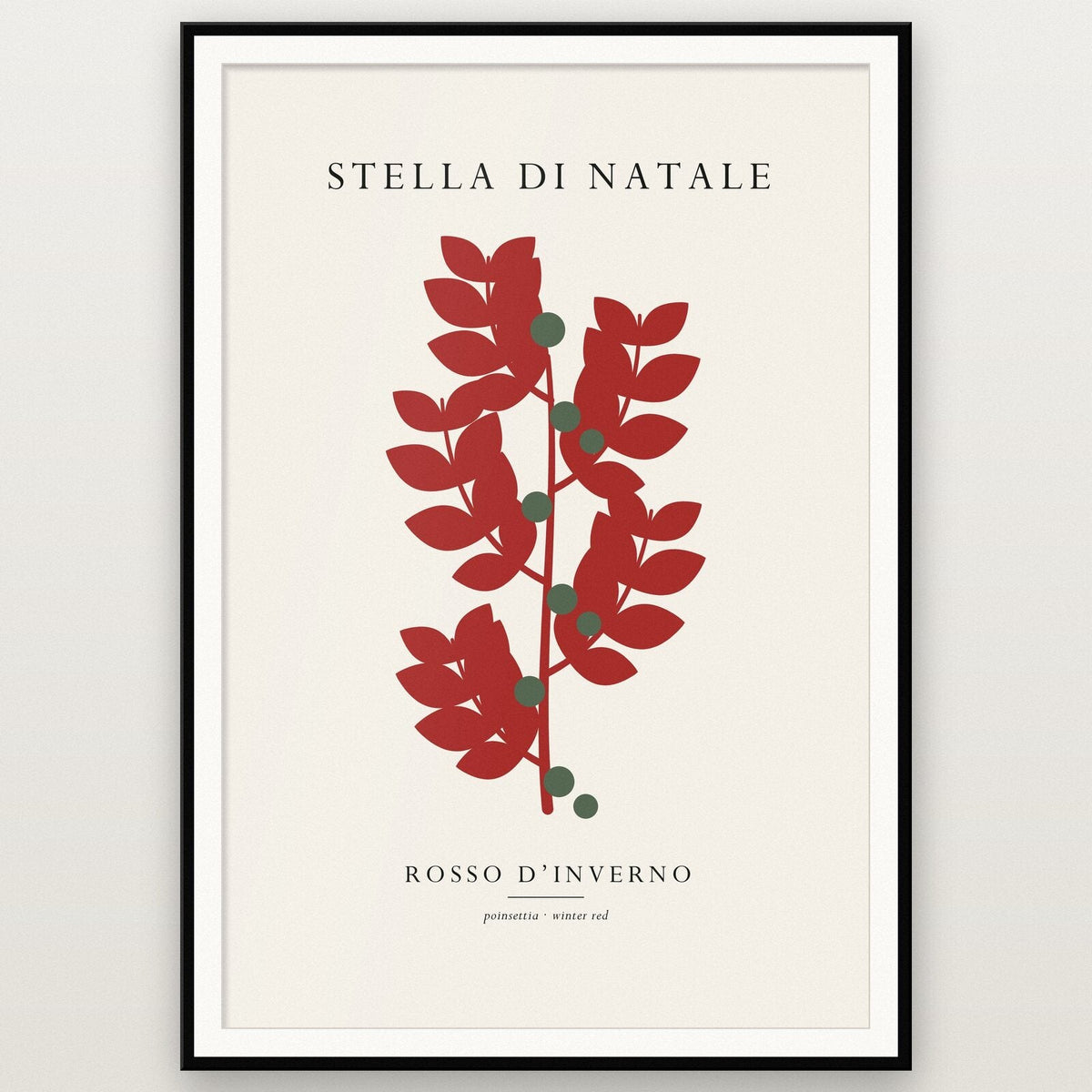 Stella Di Natale Christmas Specimen Art Print