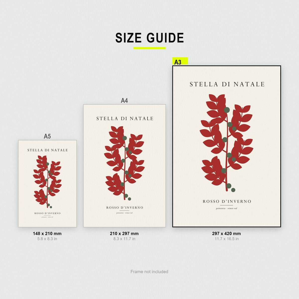 Stella Di Natale Christmas Specimen Art Print