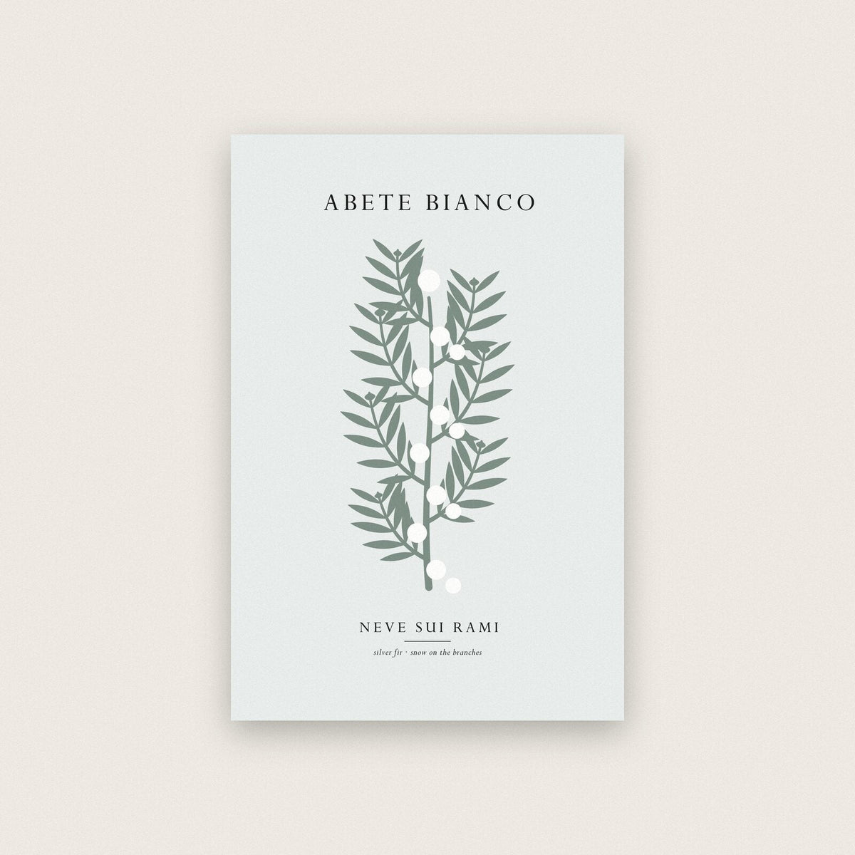 Abete Bianco Christmas Specimen Art Print