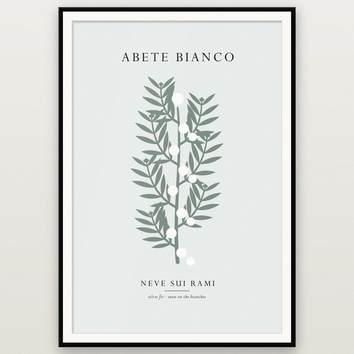 Abete Bianco Christmas Specimen Art Print