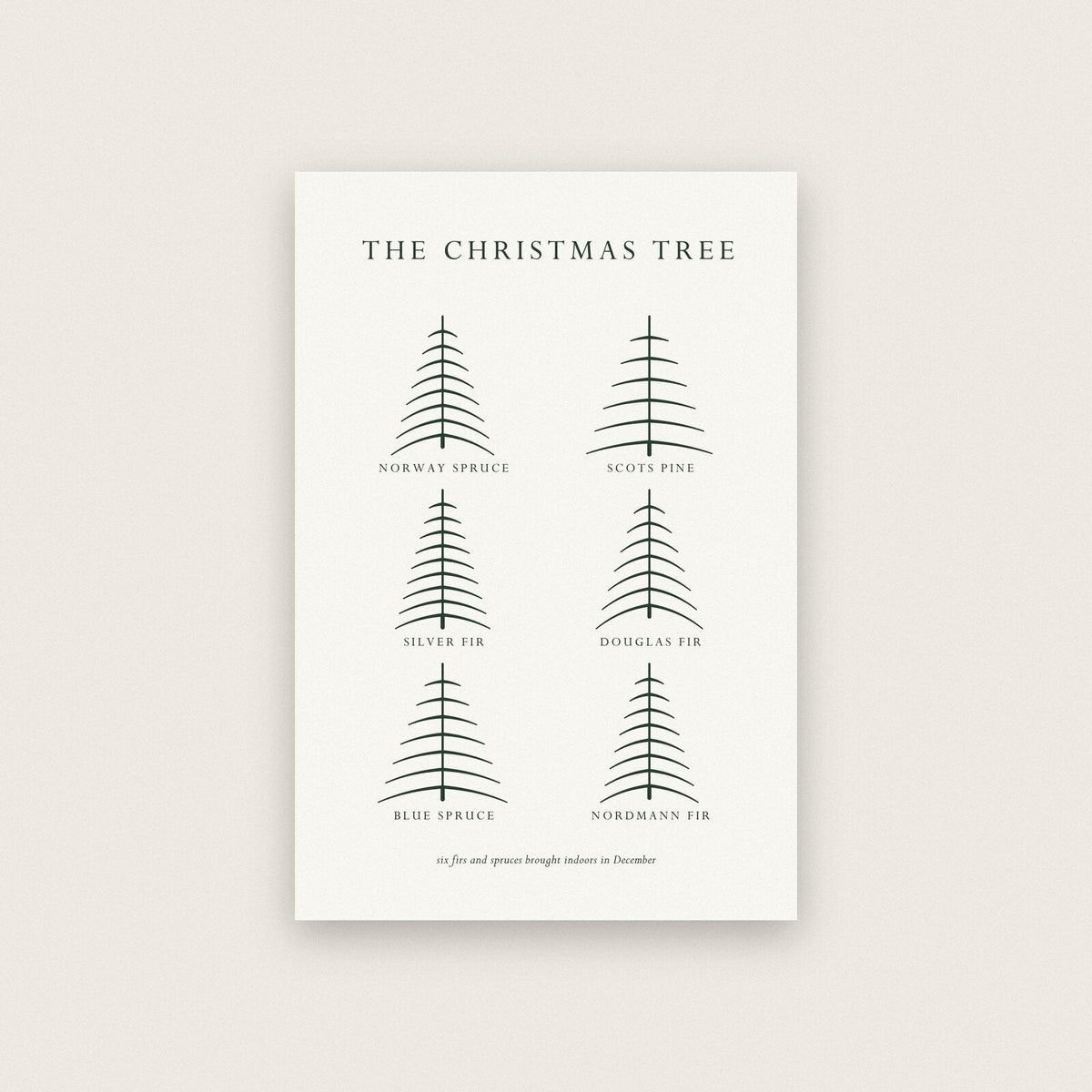 The Christmas Tree Christmas Specimen Art Print