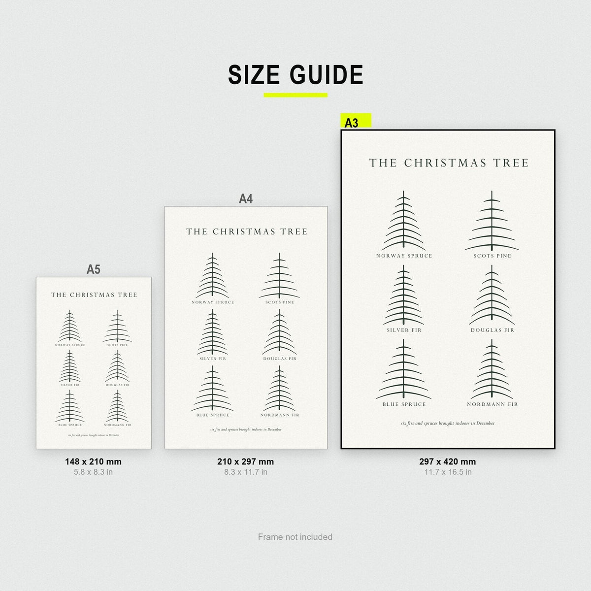 The Christmas Tree Christmas Specimen Art Print