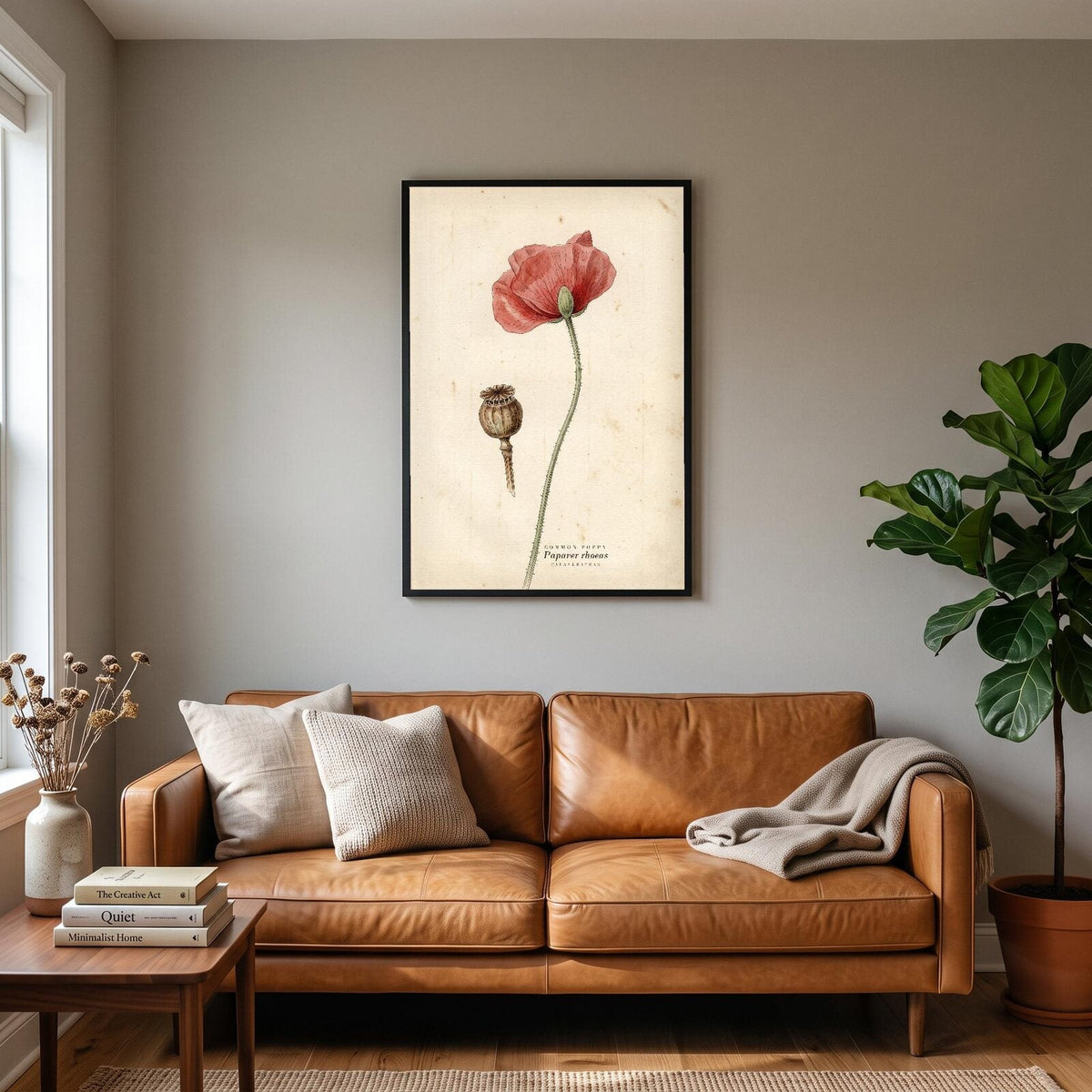 Common Poppy Herbarium Botanical Art Print