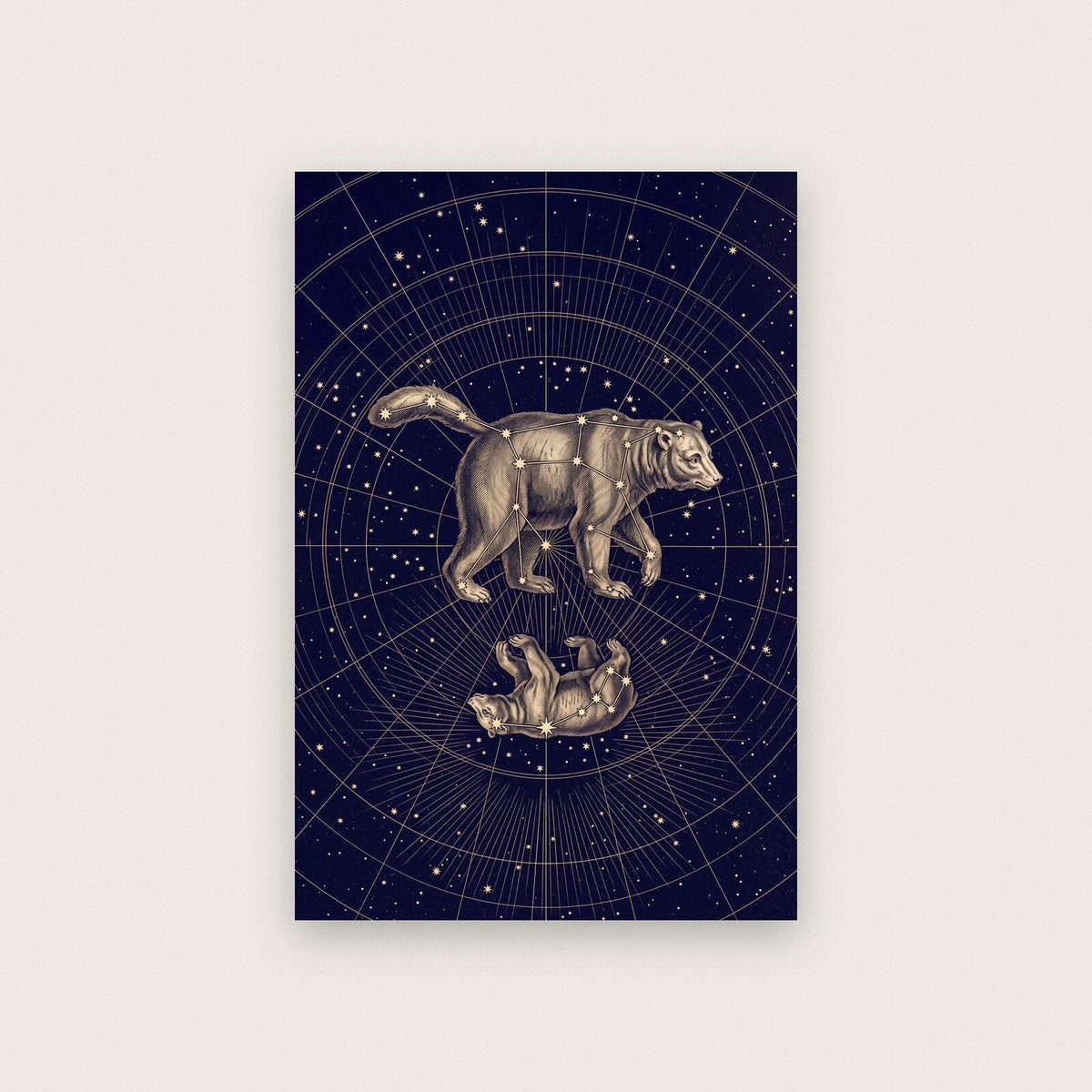 Ursa Celestial Chart Art Print