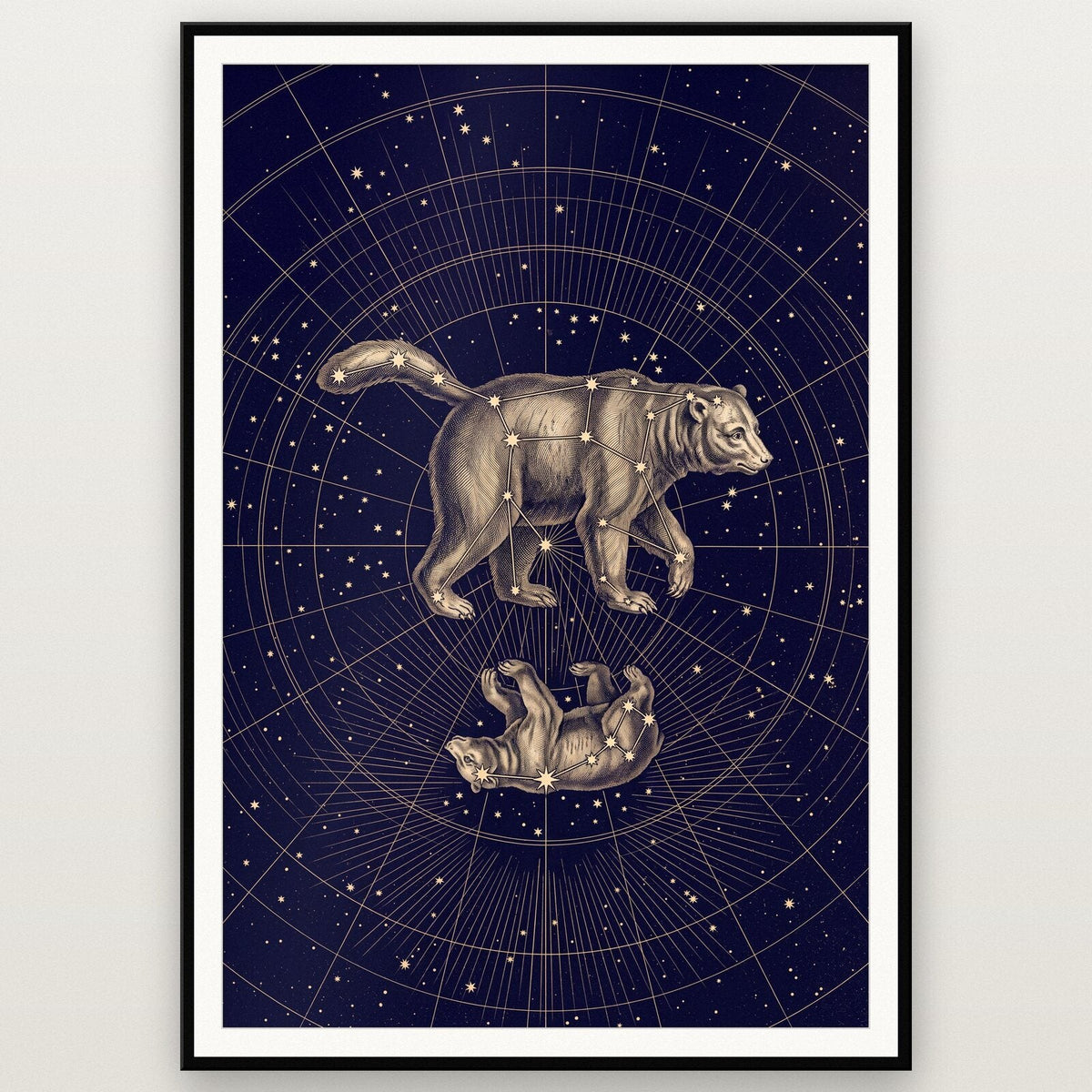 Ursa Celestial Chart Art Print