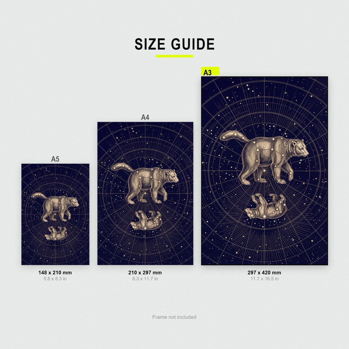 Ursa Celestial Chart Art Print