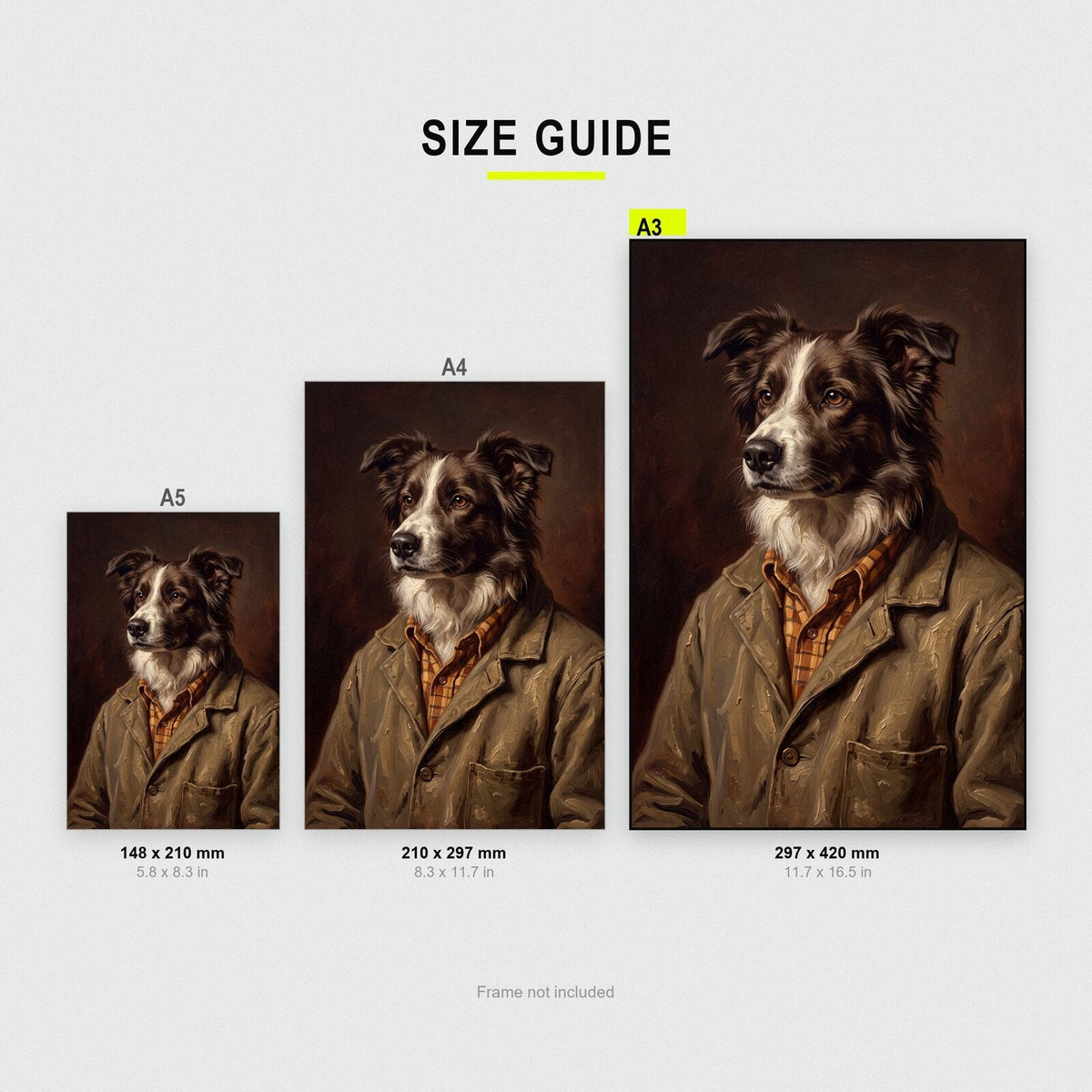Collie The Gentry Animal Portrait Art Print