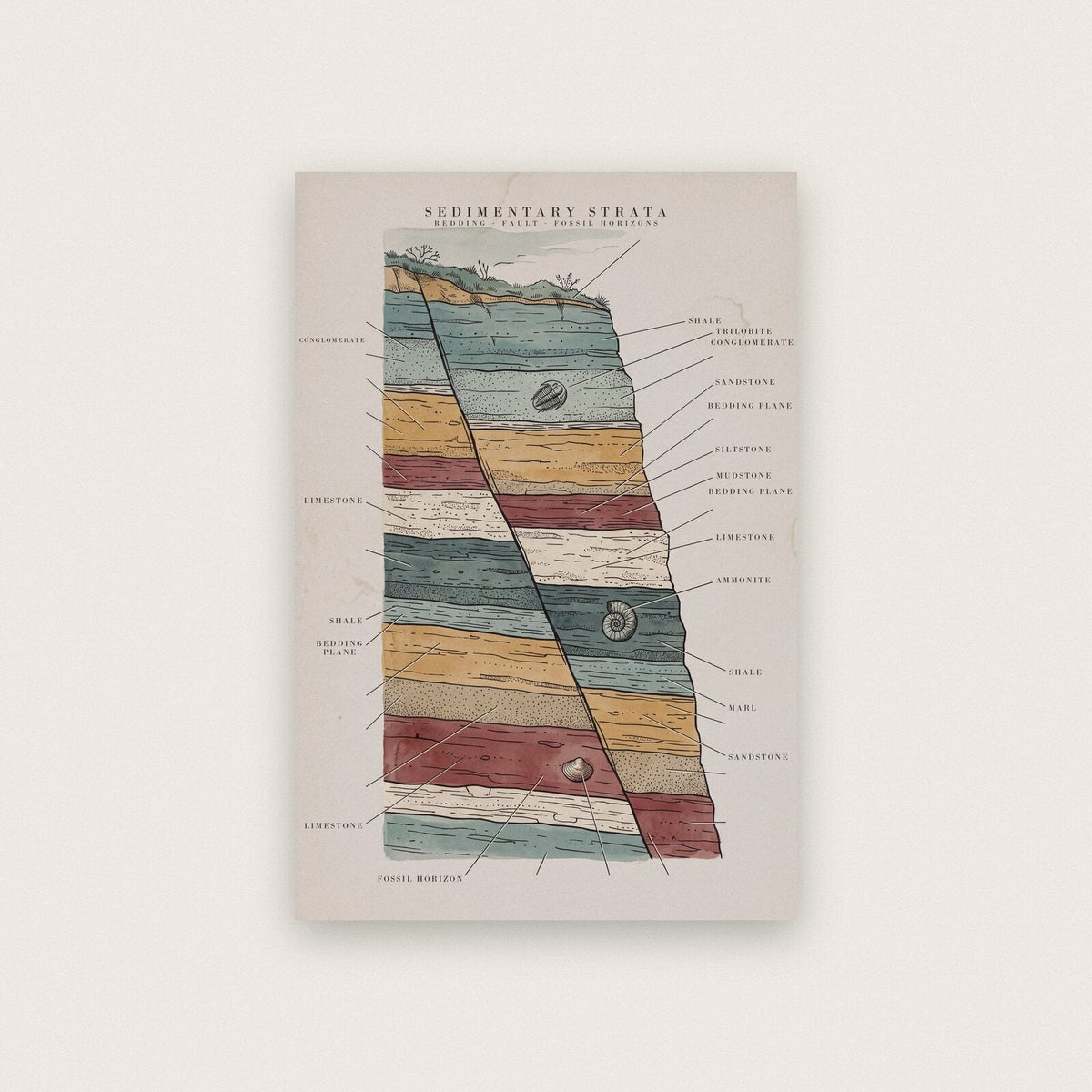 Strata Specimen Plate Art Print