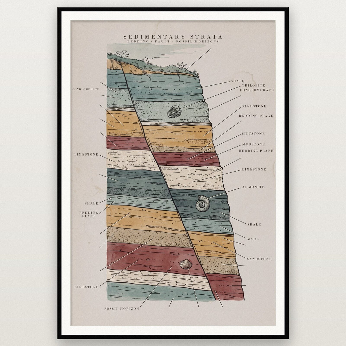 Strata Specimen Plate Art Print
