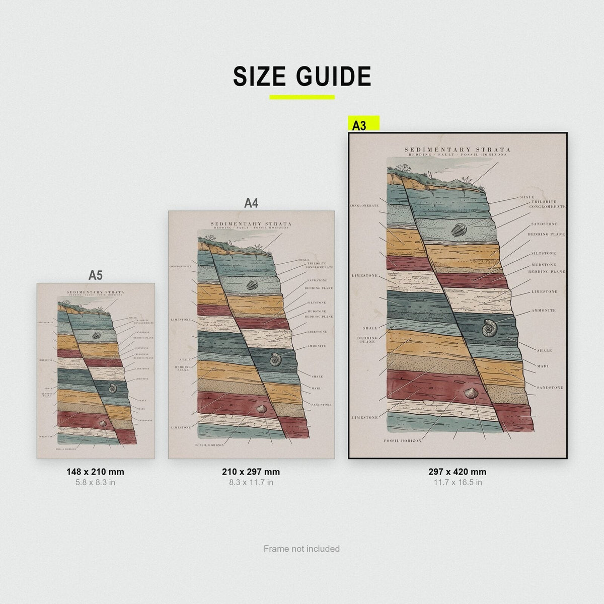 Strata Specimen Plate Art Print
